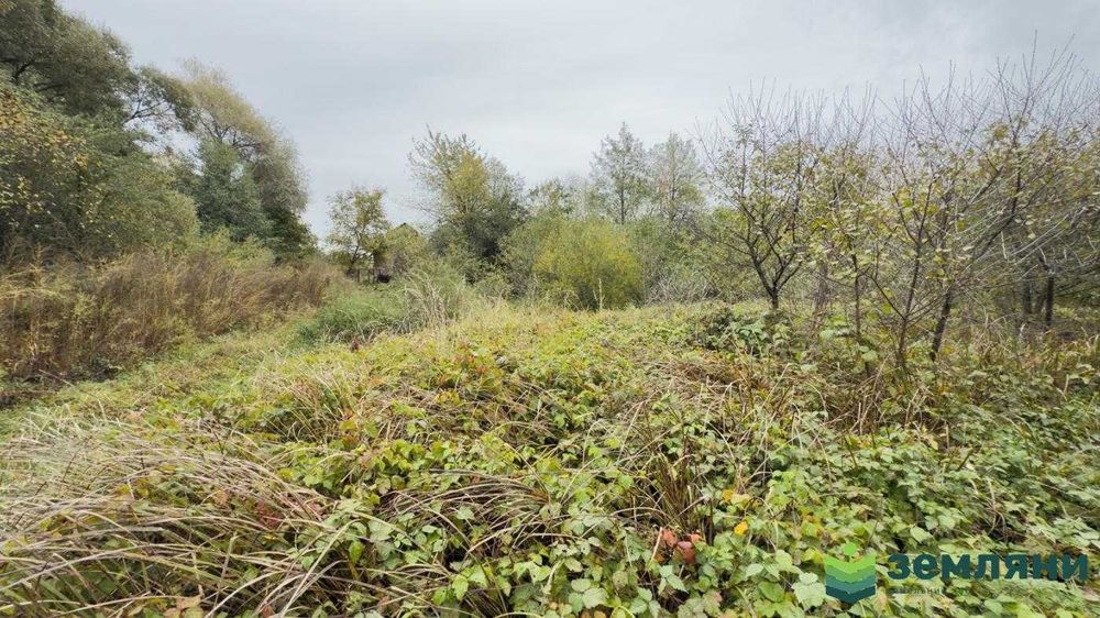 Продається земельна ділянка у с. Хриплині (7)