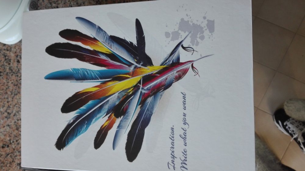 1  caixa secreta livro Dreams