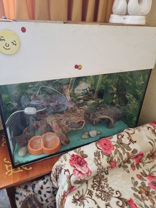 Аквариум-террариум