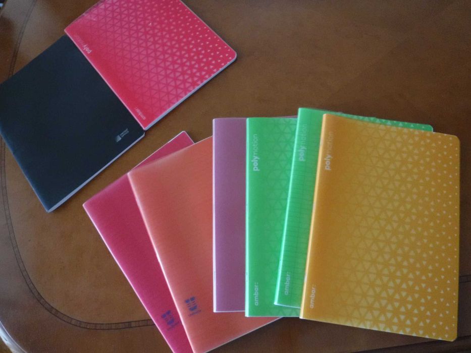 Conjunto de 6 cadernos pautados e 2 quadriculados com capa de plástico
