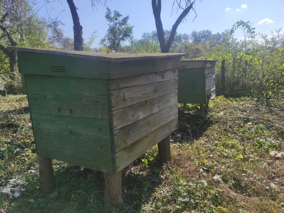 Вулики для бджіл