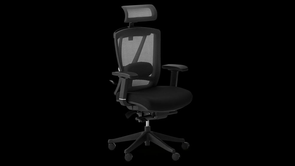 Cadeira Autonomous AI ErgoChair Pro Preta