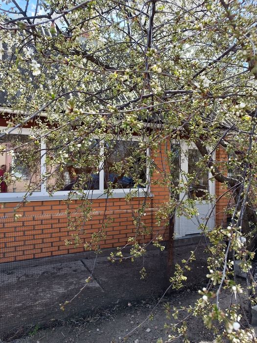 Продам чудовий будинок в с.Семиполки.ціна-42000у.е