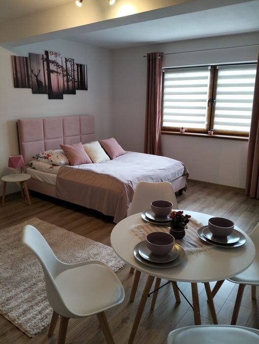 Noclegi Apartamenty Domki Ścieżka Velo Czorsztyn Dunajec Pieniny Góry
