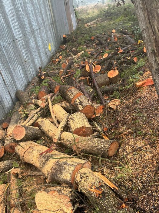 Recolha de entulho/mudanças