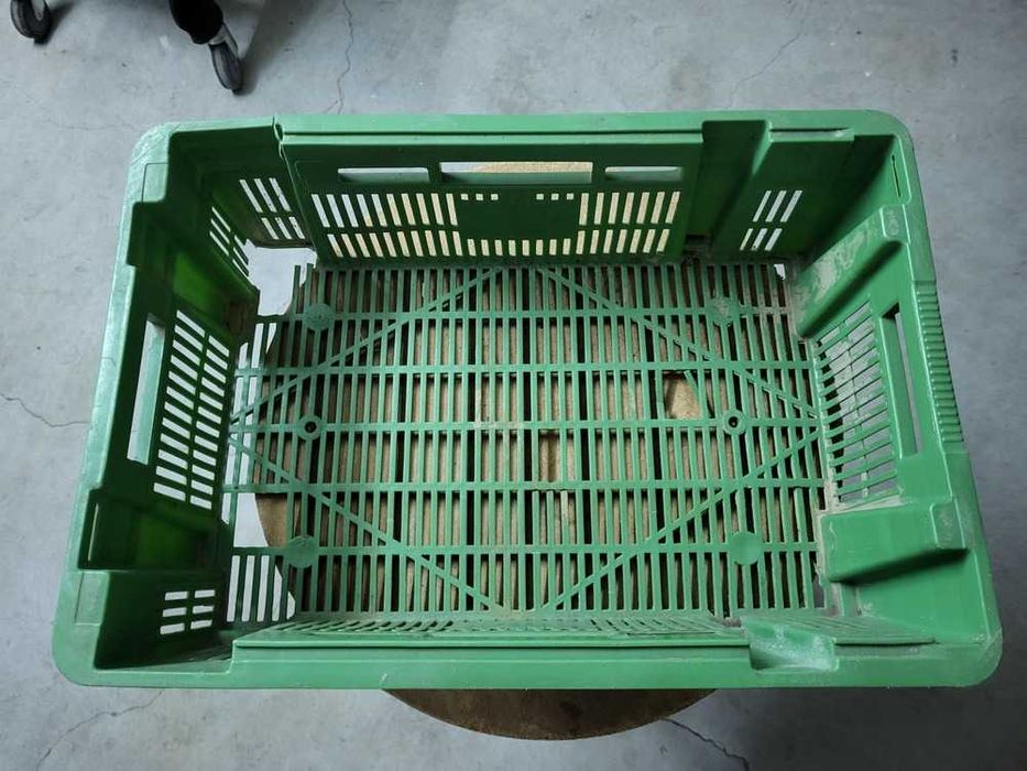 Plastic Basket64585189973763121