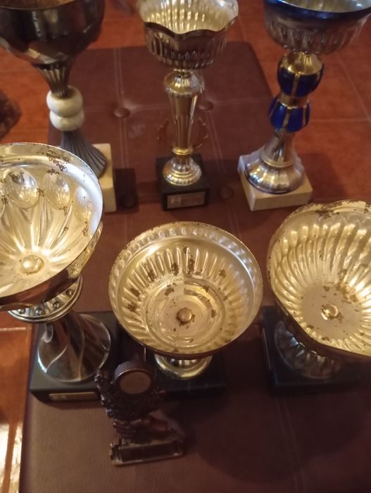 Troféus e medalhas diversas