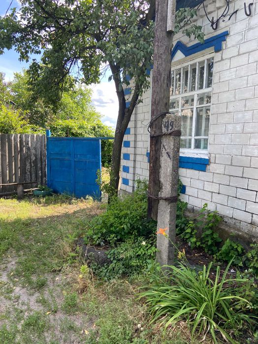 Терміново продам будинок в с. Чемужівка