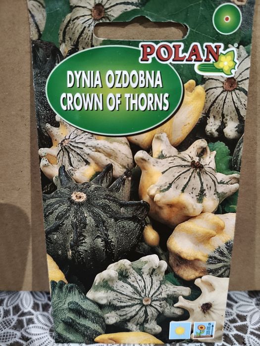 Dynia ozdobna Crown of Thorns