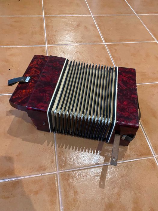 Concertina Finotti