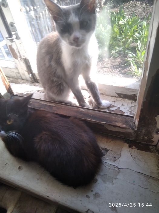 Потрібна допомога дуже сильно