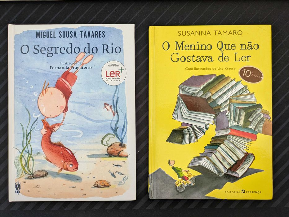 O Segredo do Rio - O Menino Que Não Gostava de Ler