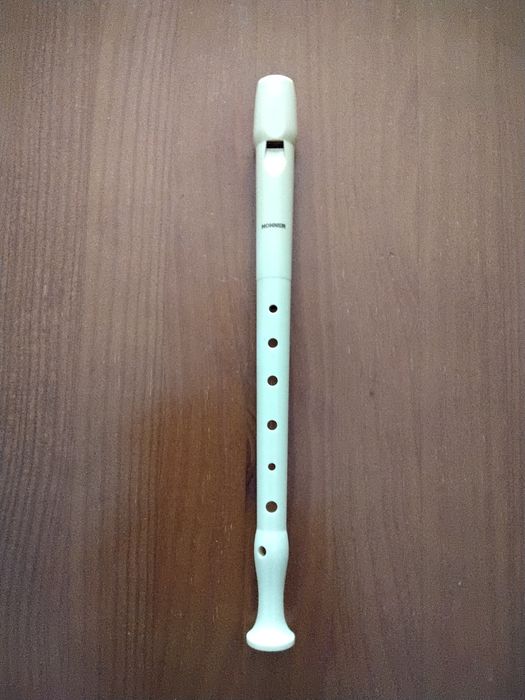 Hohoner Flute, Wind Musical Instrument64177155821954121