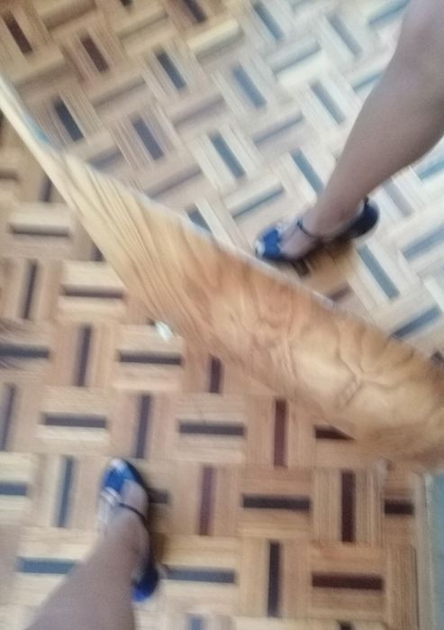 Sandálias Melissa 38 Azul