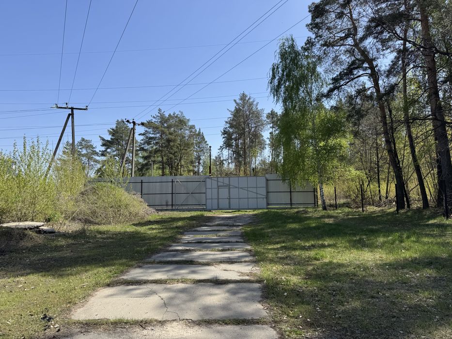 Путрівка оренда  25 соток 65 квт , вода , септик