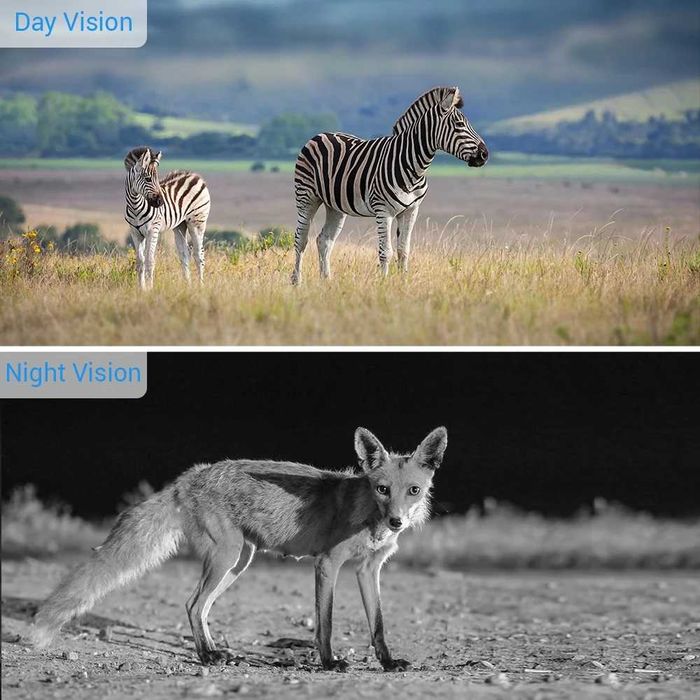 Câmera de trilha Caça Mini 301 - Observação de animais Visão Noturna -