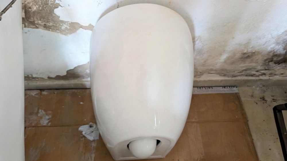 Sanita, bidet, banho, equipamento sanitaria