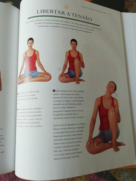 Book: New Tibetan Relaxation Techniques64752318353411123