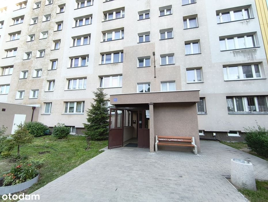 Zdjęcie 7