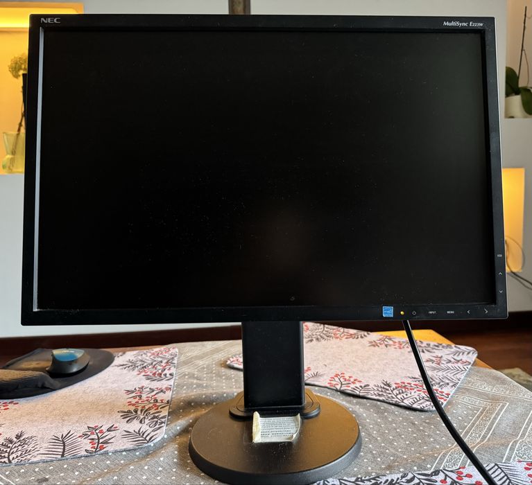 Monitor NEC MultiSync E223W