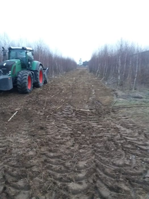 Mulczowanie karczowanie wycinka drzew czyszczenie działek