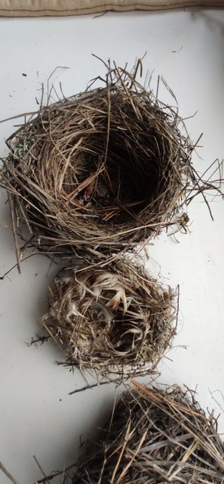 Гнезда для колец свадебный декор пасха сухоцветы