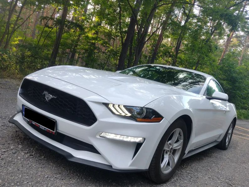 Ford Mustang Ford Mustang EcoBoost 2,3 ; 1 właściciel w kraju