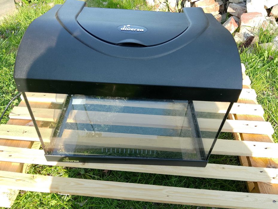 Akwarium 25x40x25 Diversa z pokrywą lampa LED