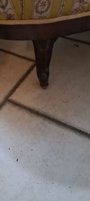 Chaise Longue / Canapé