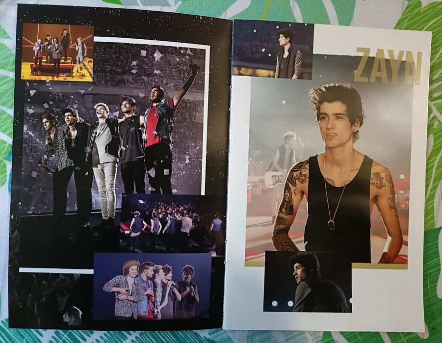 DVD  - One  Direction -