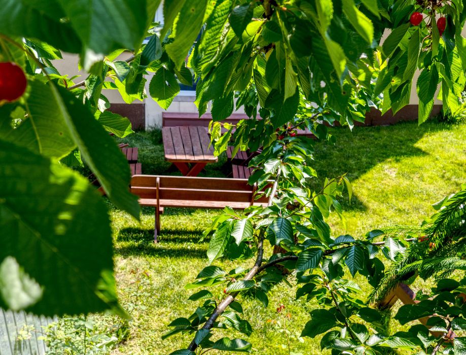 Komfortowe pokoje-przy Szymonowica w Krakowie od