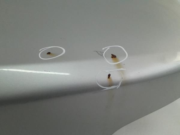 Porta / tampa da mala BMW 5 (E60)