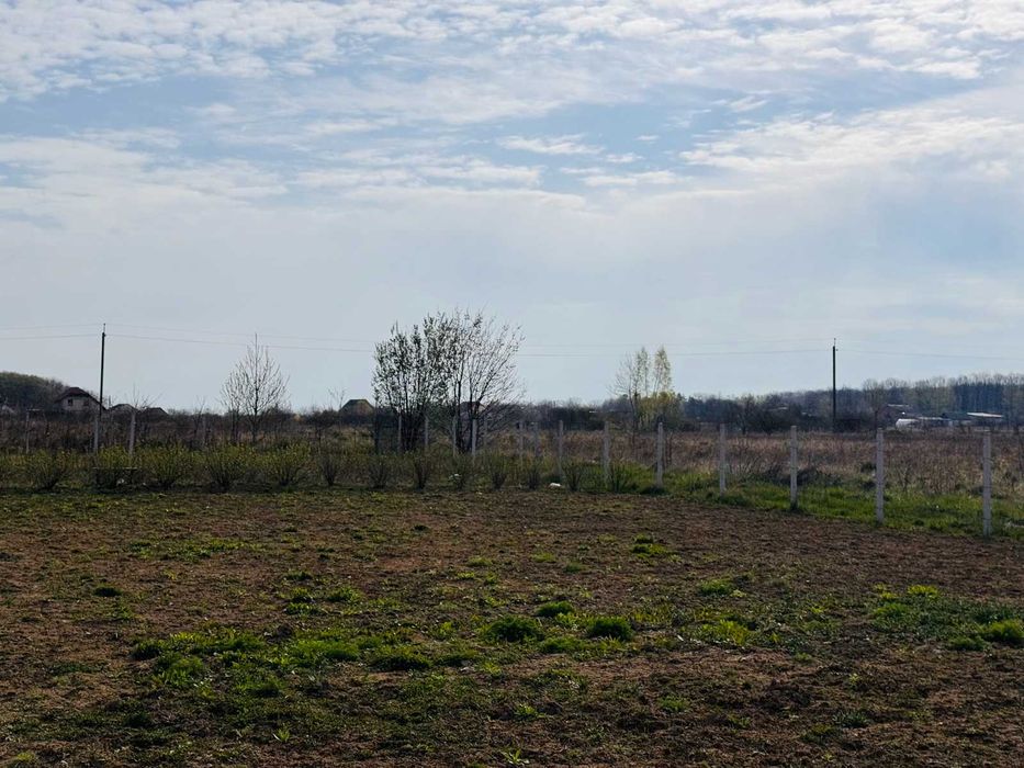 Продаж земельної ділянки в с. Щітки