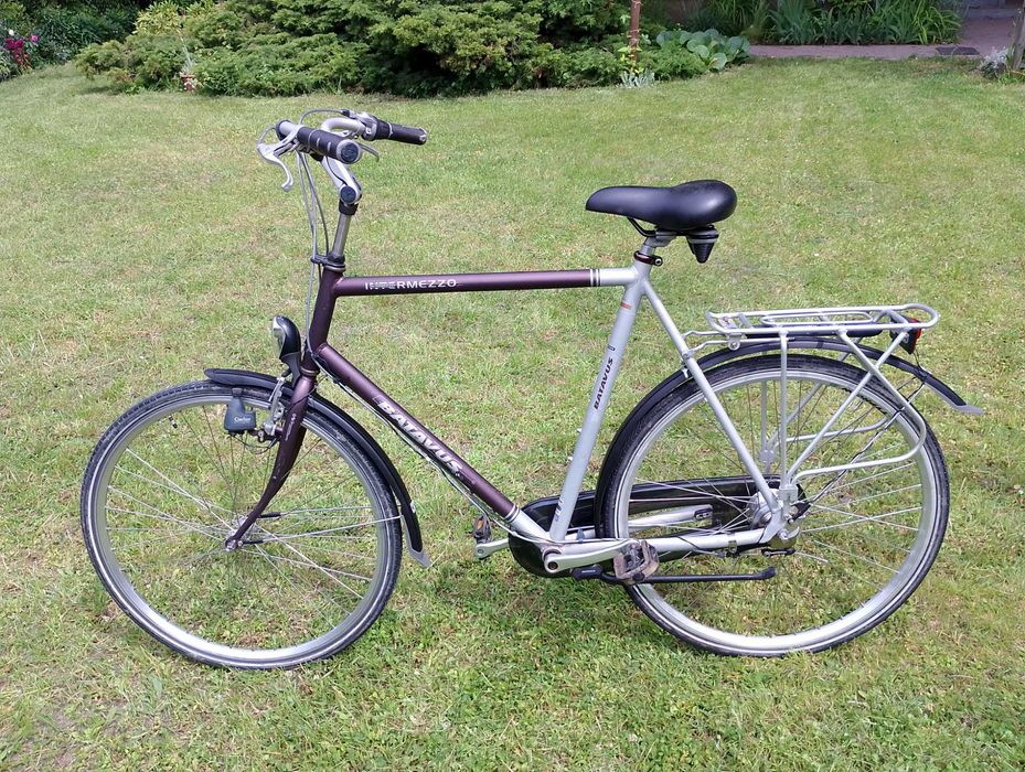 Batavus Intermezzo: idealny holender dla wysokich osób