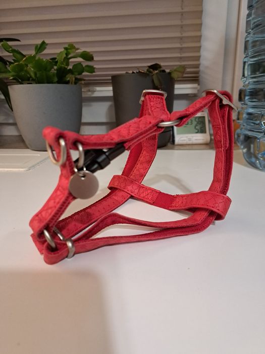 Szelki dla psa MacLeather