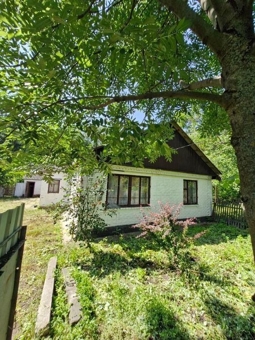 Будинок в с. Вили