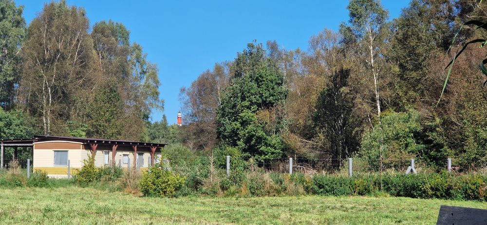 Działka nad morzem