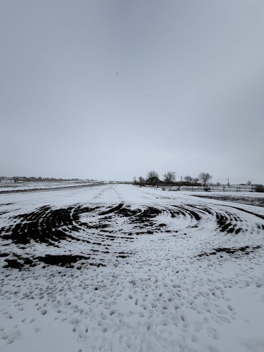 Продаётся дом в селе Белолесье Одесской области.