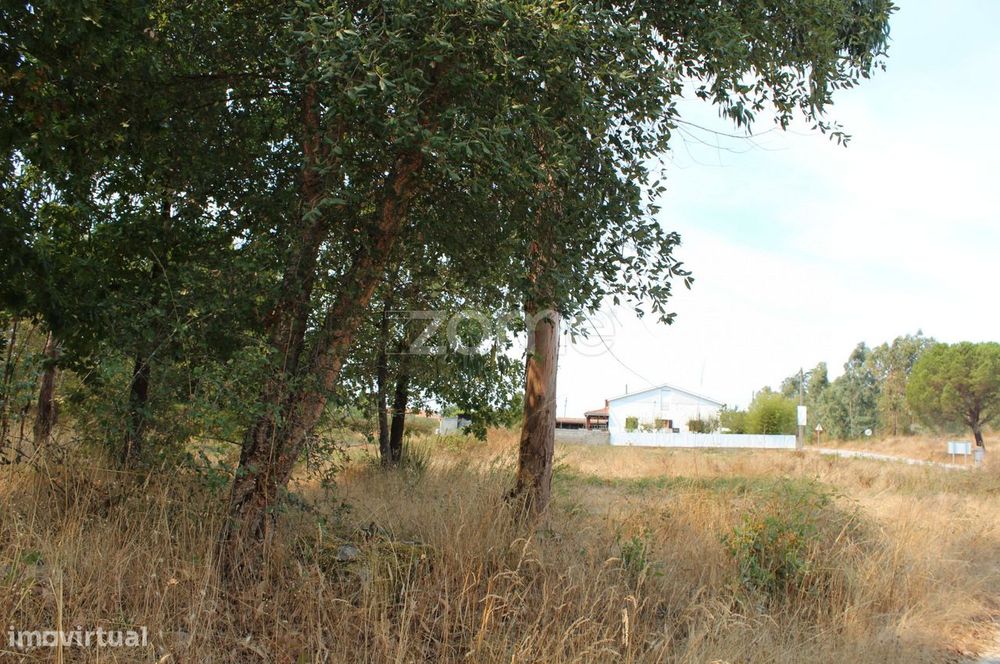 Terreno para construção e exploração agrícola em Paranhos da Beira...