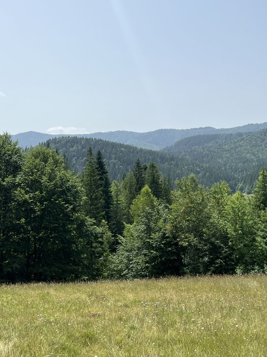 Ділянка в горах, земля біля Буковеля, земля в КарпатахПідведене світло