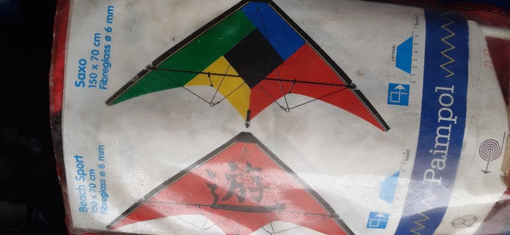 Papagaio para crianças
