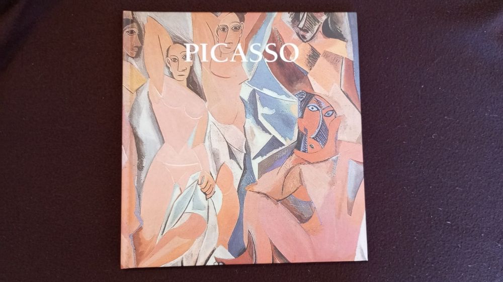 Coleção de livros sobre pintores