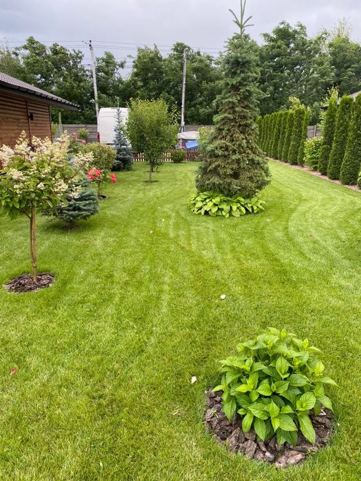 Комплексний догляд за газоном, скарифікація, аерація, обробка газону