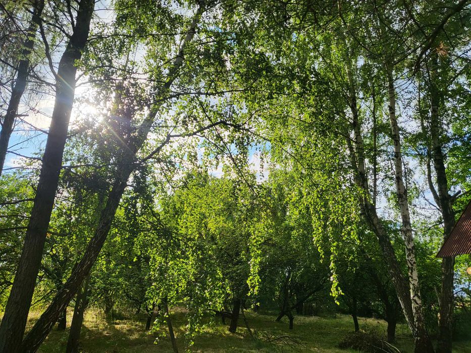 Dom – Wójtowa, powiat gorlicki - Widok 5