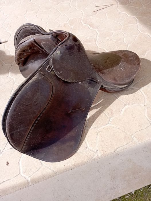 Arreio de equitação