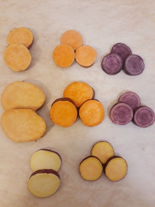 Солодка картопля батат