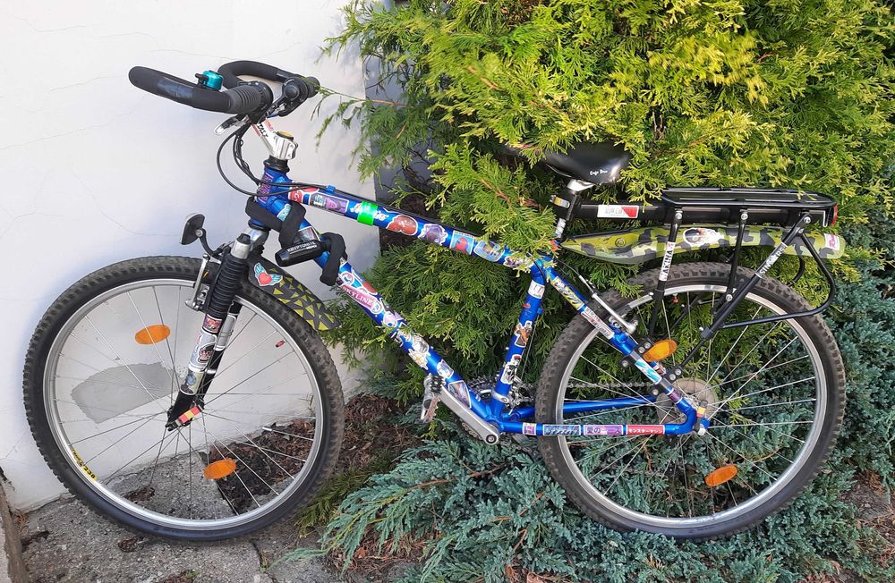 rower górski (Custom VOODOO Bike)