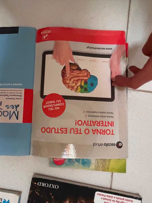Cadernos de atividades 8º Ano - Diversas disciplinas