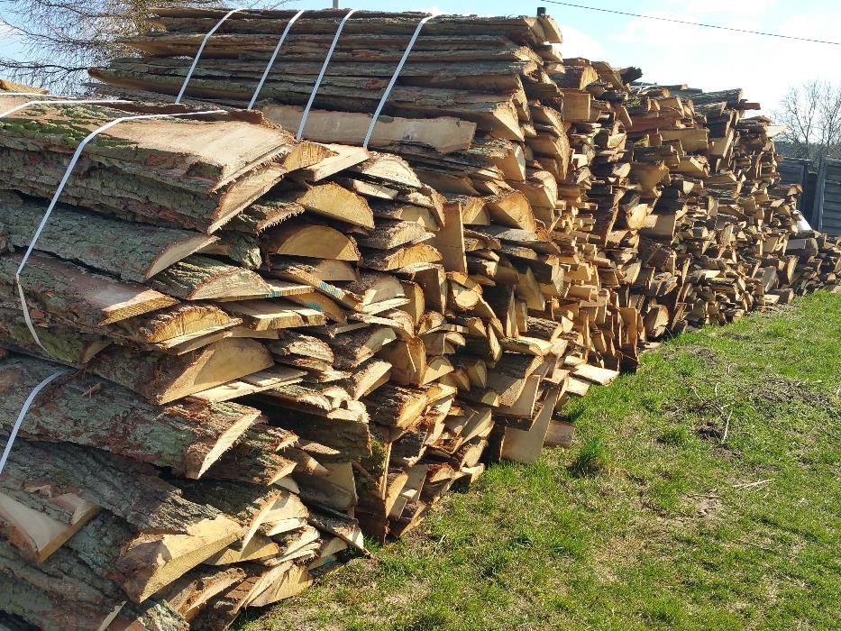 Dąb,dębina oflis,zrzyny Poznań,Szamotuły,Pniewy,Wronki