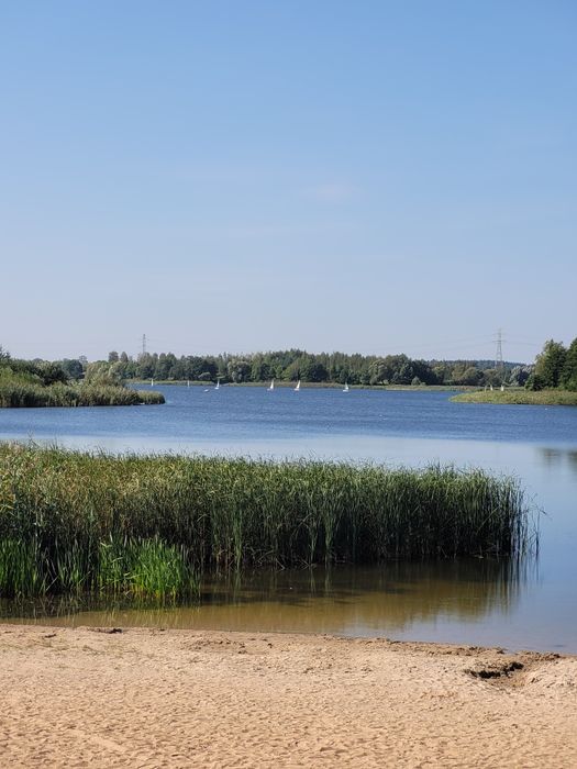 Miodowy Domek Sauna, Jacuzzi, Rybki,Las, Rowery,Sup